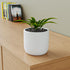 White Cylindrical Ceramic Clay Pots - The Earth Store - Planter